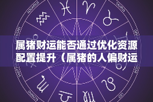 属猪财运能否通过优化资源配置提升（属猪的人偏财运提运）