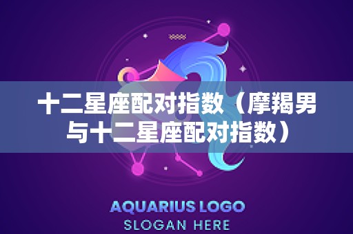 十二星座配对指数（摩羯男与十二星座配对指数）