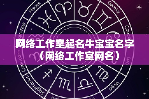 网络工作室起名牛宝宝名字（网络工作室网名）