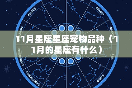 11月星座星座宠物品种（11月的星座有什么）