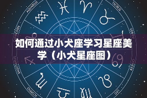 如何通过小犬座学习星座美学（小犬星座图）