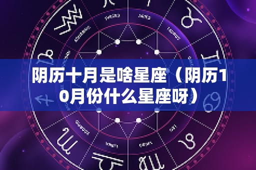 阴历十月是啥星座（阴历10月份什么星座呀）