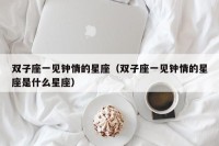 双子座一见钟情的星座（双子座一见钟情的星座是什么星座）